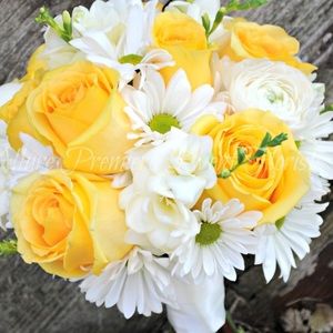 Meet your Posher, Maggie